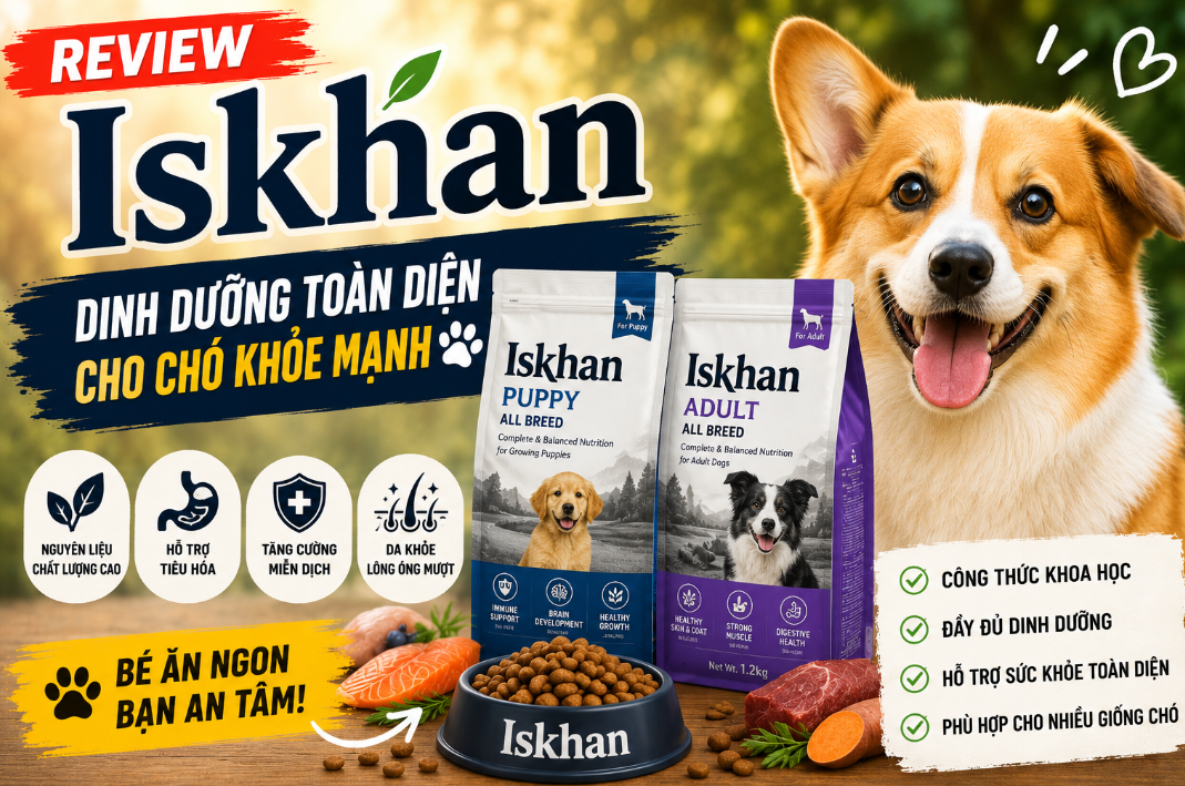 Thức Ăn Cho Chó Iskhan - Giải Pháp Thượng Hạng Cho Da Lông