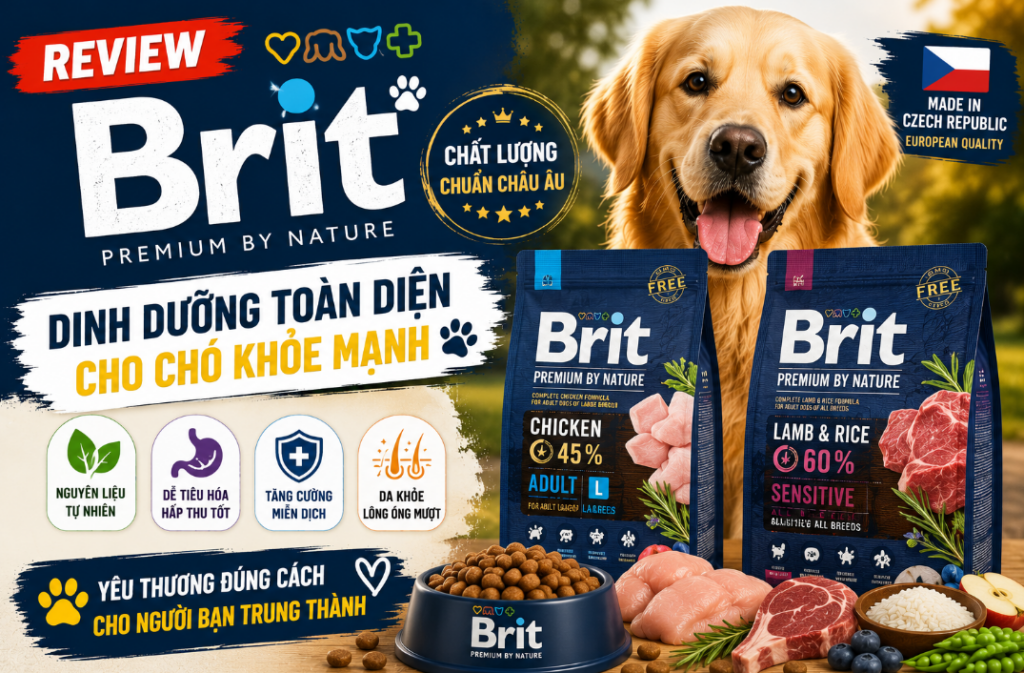 Thức Ăn Cho Chó Brit Có Thực Sự Đáng Đồng Tiền Bát Gạo