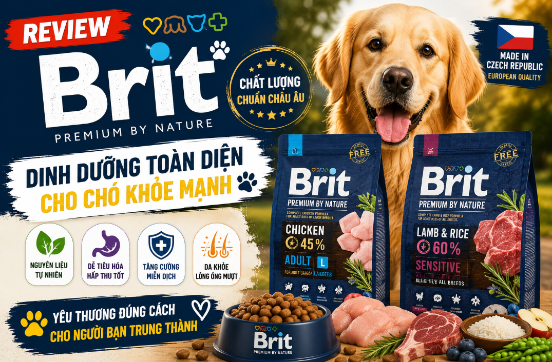  Thức Ăn Cho Chó Brit Có Thực Sự Đáng Đồng Tiền Bát Gạo