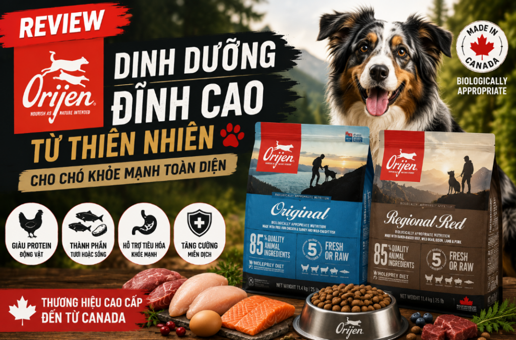 Thức Ăn Cho Chó Orijen Có Thực Sự Là "Vua Của Các Loại Hạt"