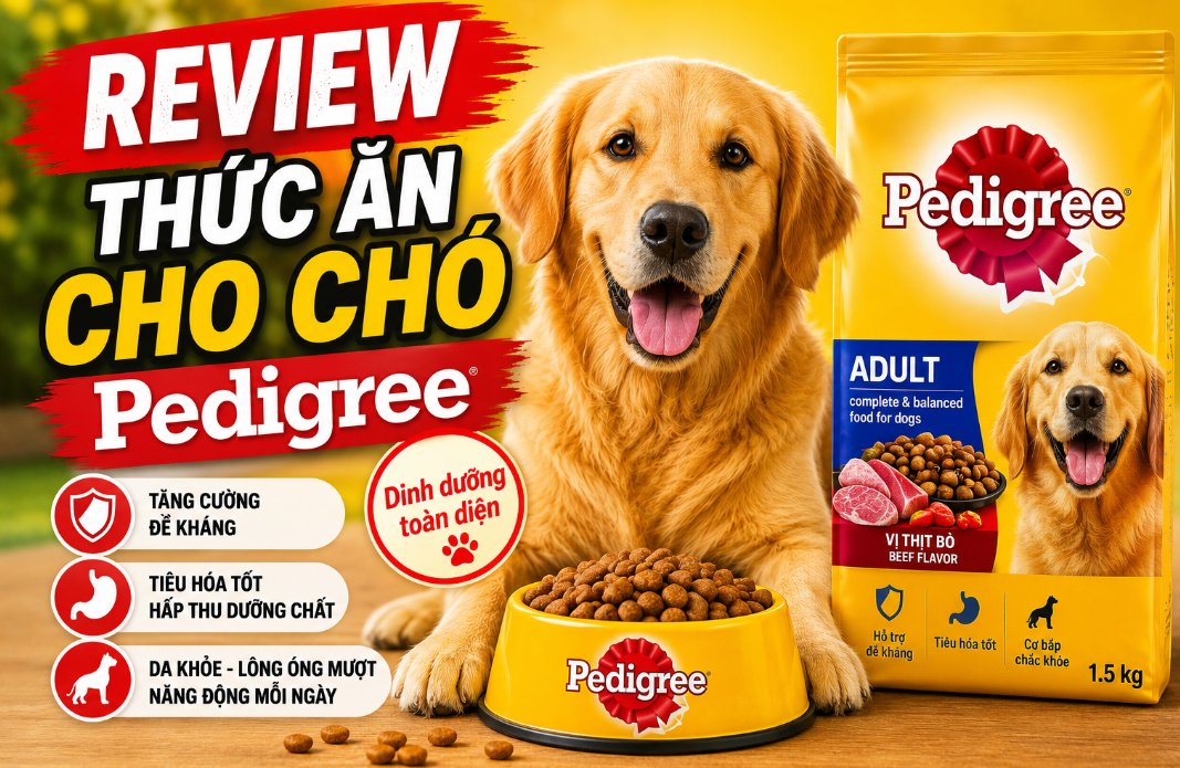 Review Thực Tế Thức Ăn Cho Chó Pedigree