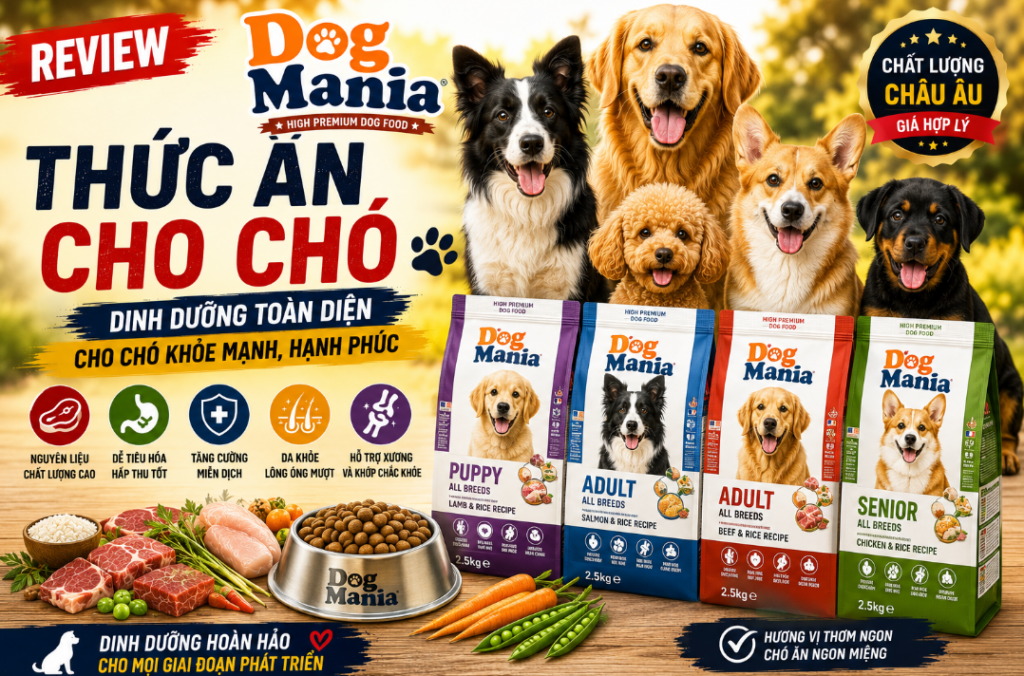 Thức Ăn Cho Chó Dog Mania Giải Pháp Cho Cún Năng Động