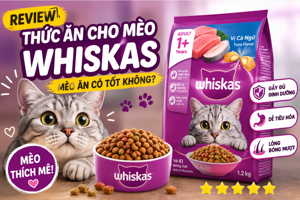 Review Thức Ăn Cho Mèo Whiskas - Top 1 Thức Ăn Cho Boss
