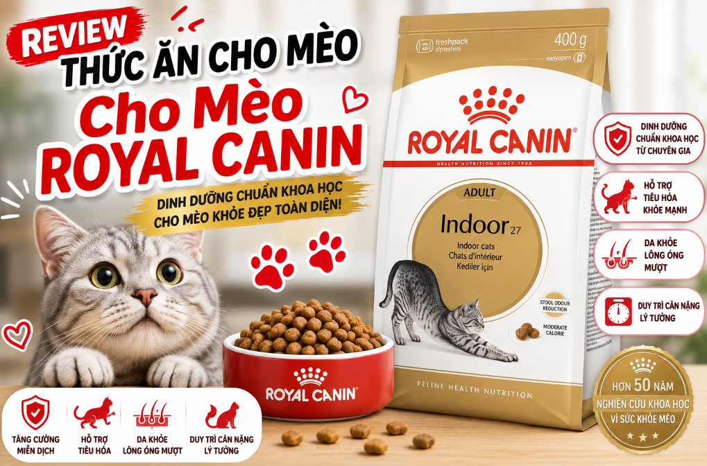 Thức Ăn Cho Mèo Royal Canin: Dòng Hạt "Hoàng Gia" Đắt Đỏ