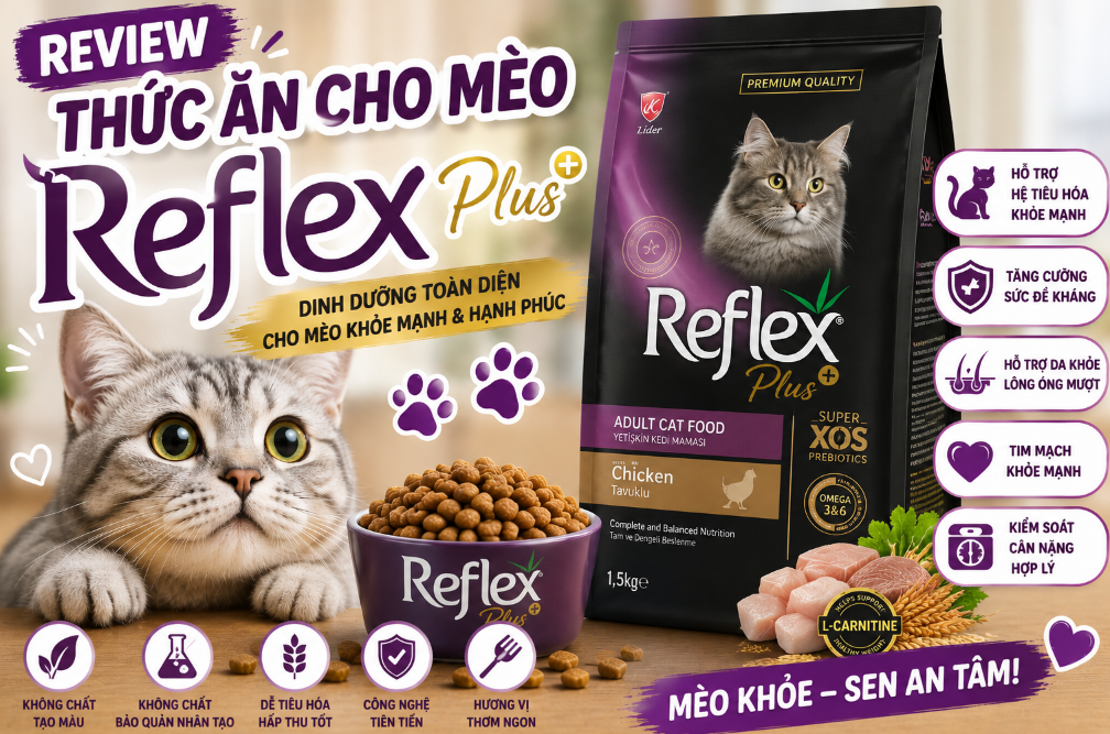 Đánh Giá Chi Tiết Thức Ăn Cho Mèo Reflex / Reflex Plus