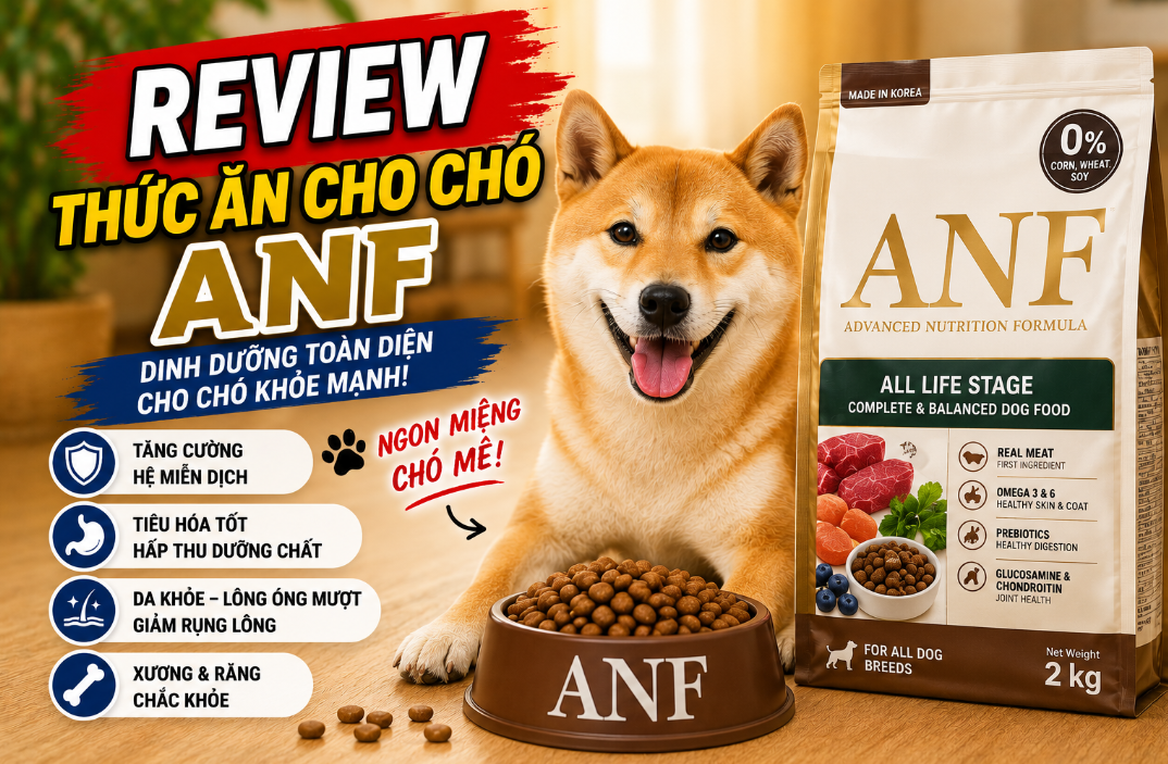 Mổ Xẻ Hạt Hữu Cơ ANF: Giải Pháp Đột Phá Cho Cún