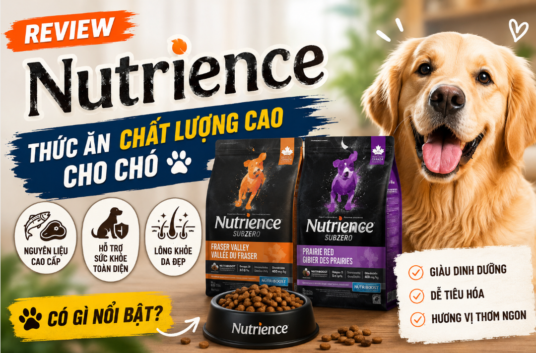 Thức Ăn Cho Chó Nutrience Có Phải Là Đỉnh Cao Dinh Dưỡng