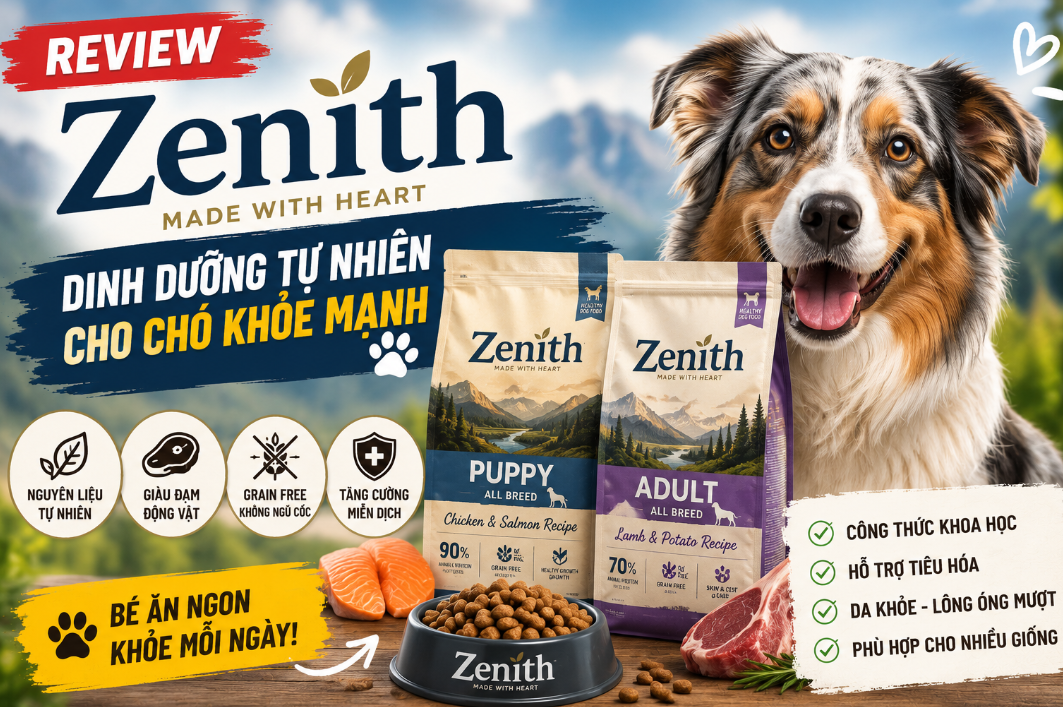 Thức Ăn Cho Chó Zenith - Giải Pháp Hoàn Hảo Cho Hệ Tiêu Hóa